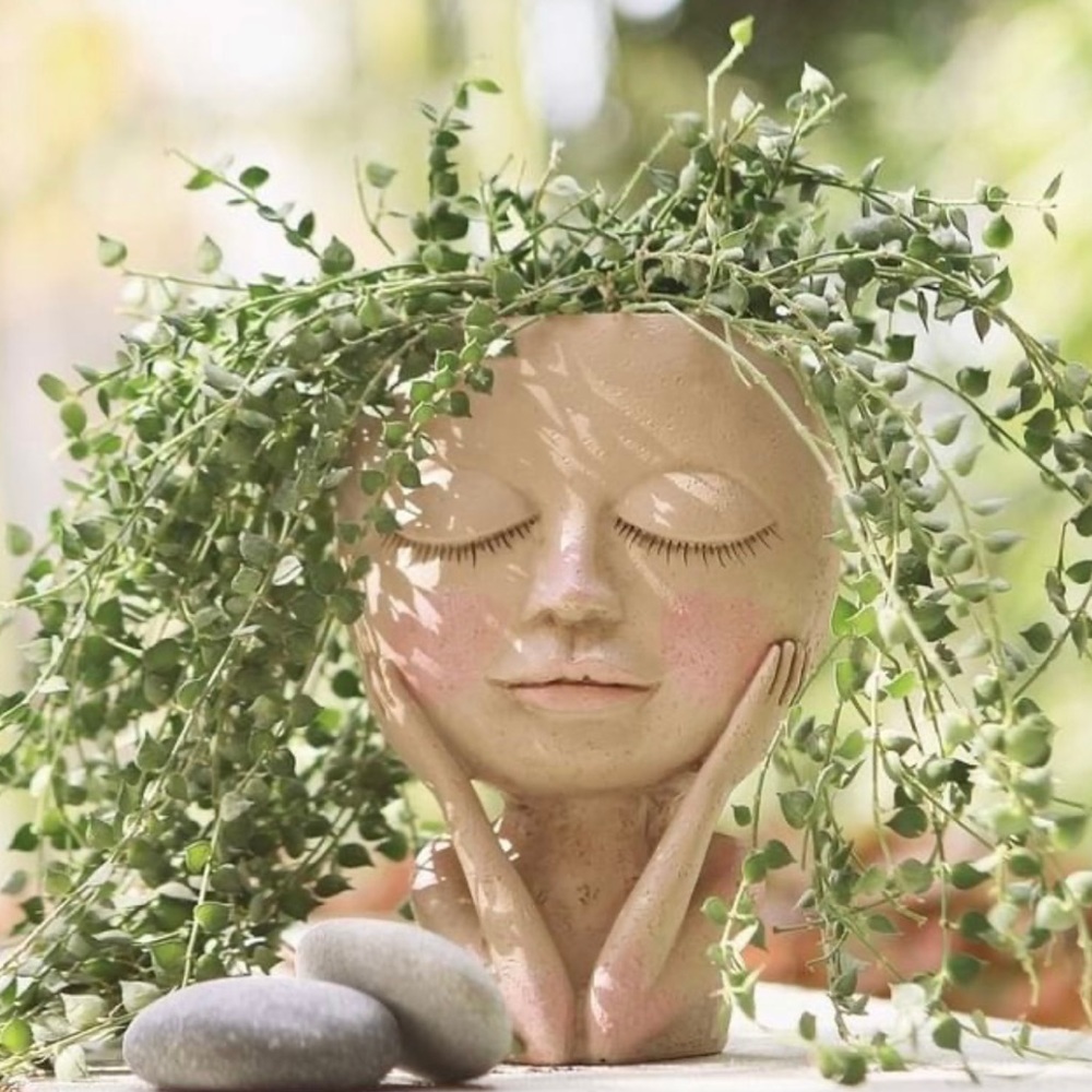 Meet your Posher, Pink